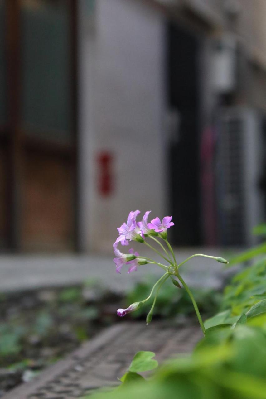 Chiyoda Inn Tokyo Exterior photo